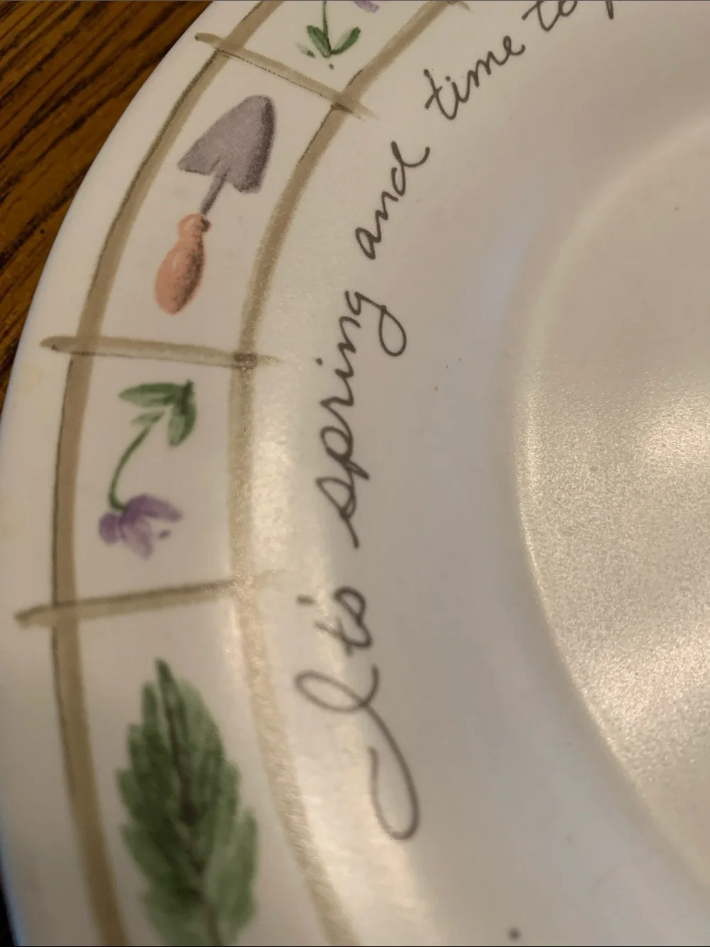 Pfaltzgraff Salad Plate. Perinnials Pattern